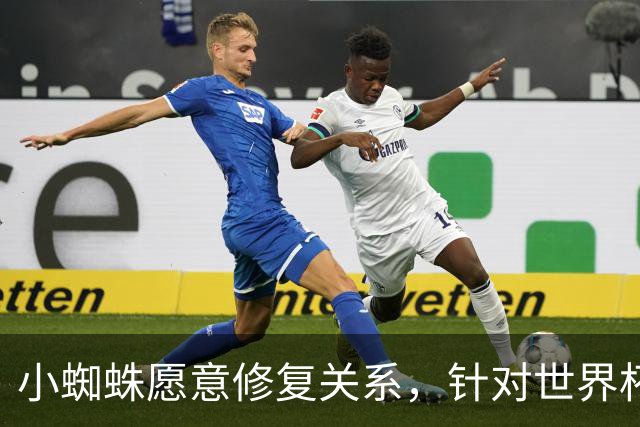 小蜘蛛愿意修复关系，针对世界杯言论向球迷致歉